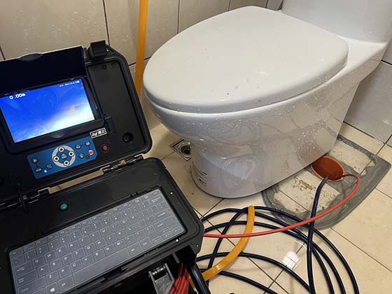 �ˤs���q�����q�T��