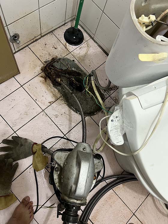 �ˤs���q�����q�T��