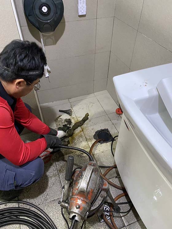 �ˤs���q�����q�T��