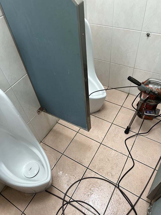 �ˤs�q�p�K��