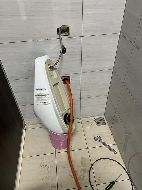 �ˤs�q�p�K��