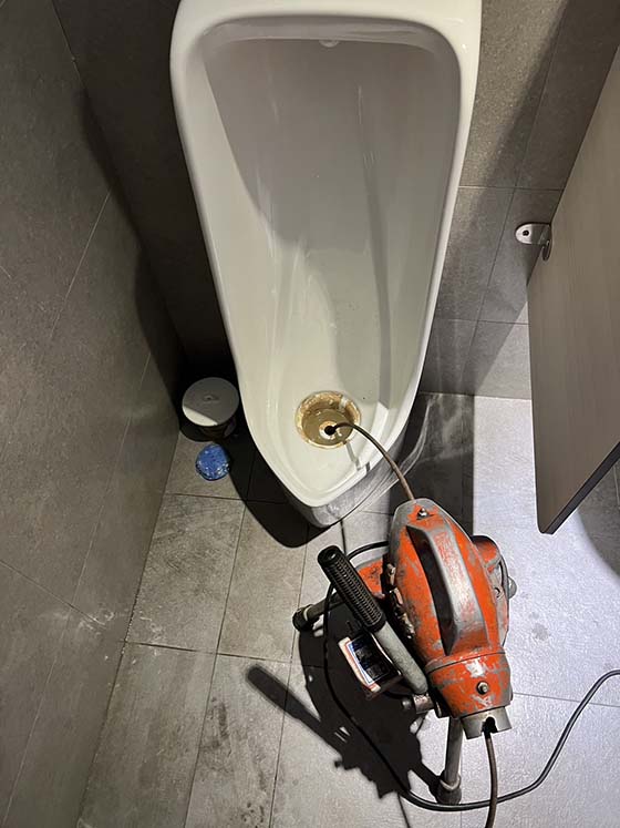 �ˤs�q�p�K��