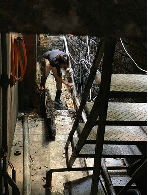 �ˤs�M����