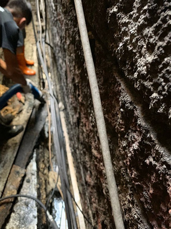 �ˤs�M����