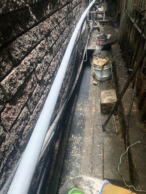 �ˤs�M����