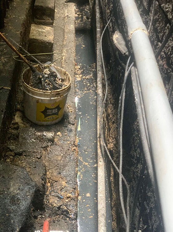 �ˤs�M����