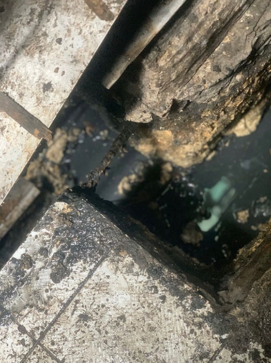 �ˤs�M����