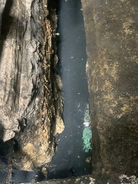 �ˤs�M����