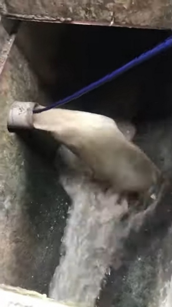屏東水刀通水管-社區水溝排水管疏通