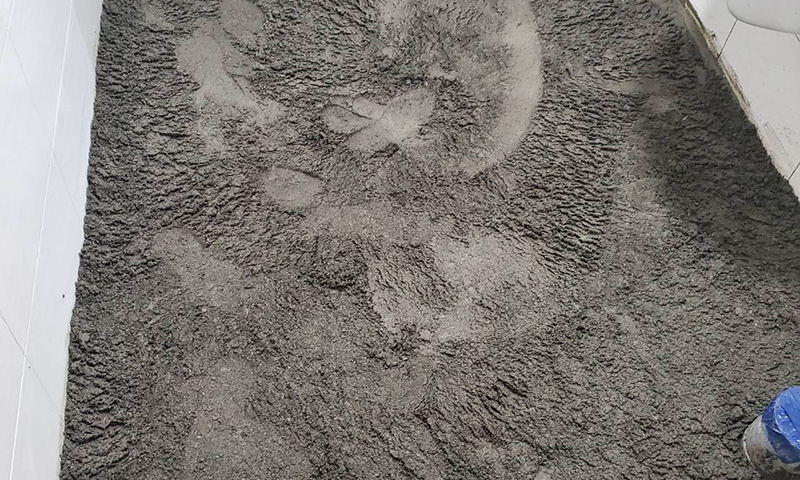 �x�_�ïD����