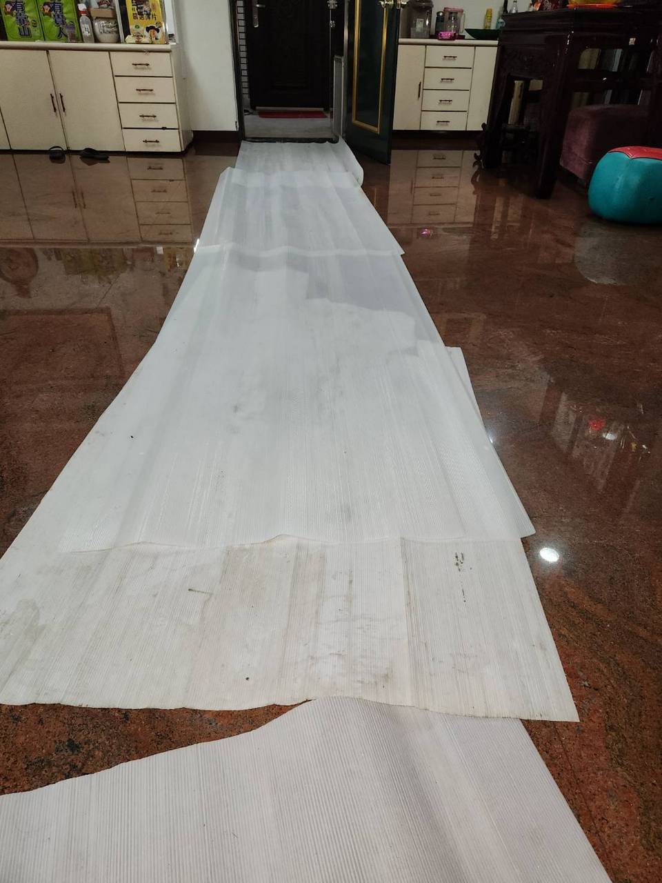 �x�_�O���D���������