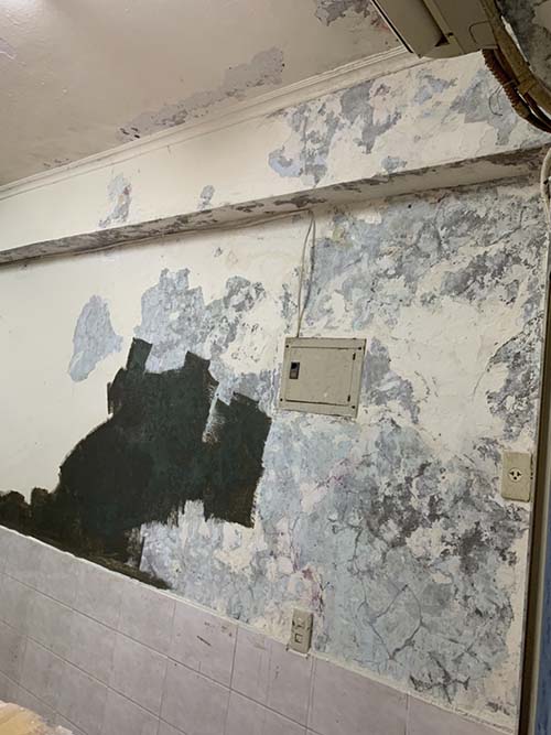 �j�P�Ϧ��a�o����s