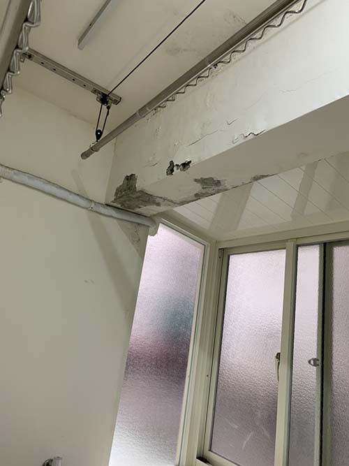 �T�������B�z