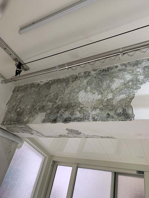 �T�������B�z