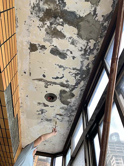 �����o��