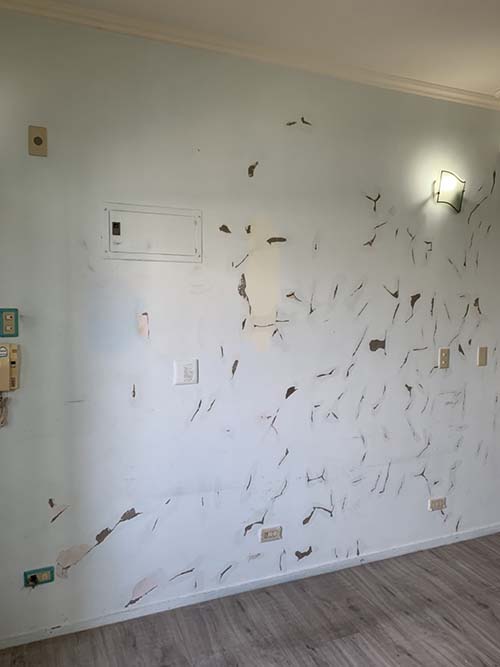 �s���o��