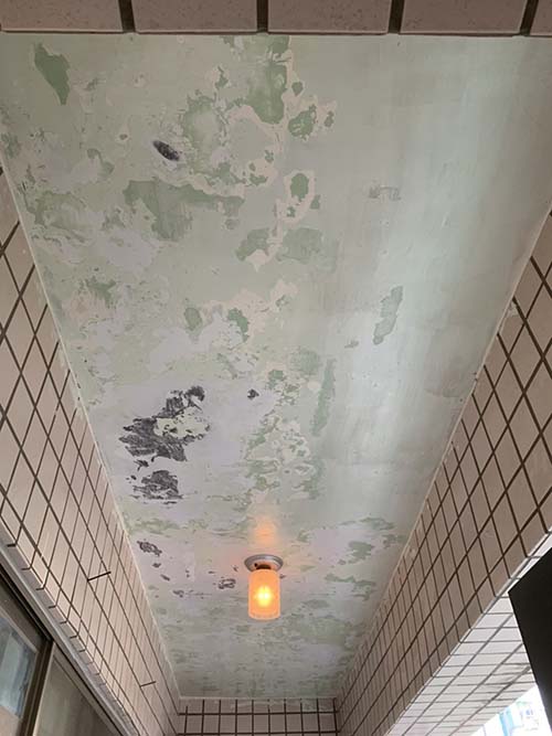 ���M�o��