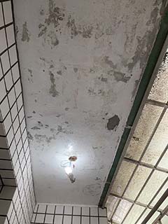 �g���o��