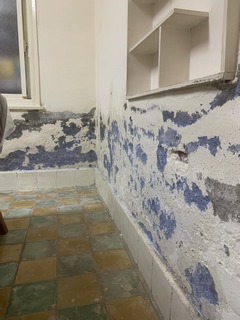 ���M�o��