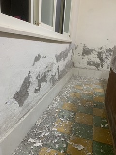 ���M�o��