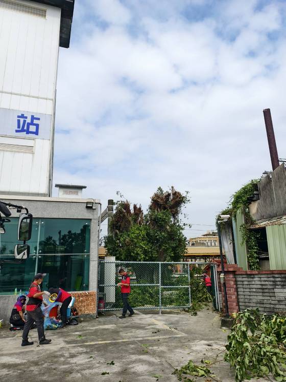 新營區 新營火車站樹木修剪工程