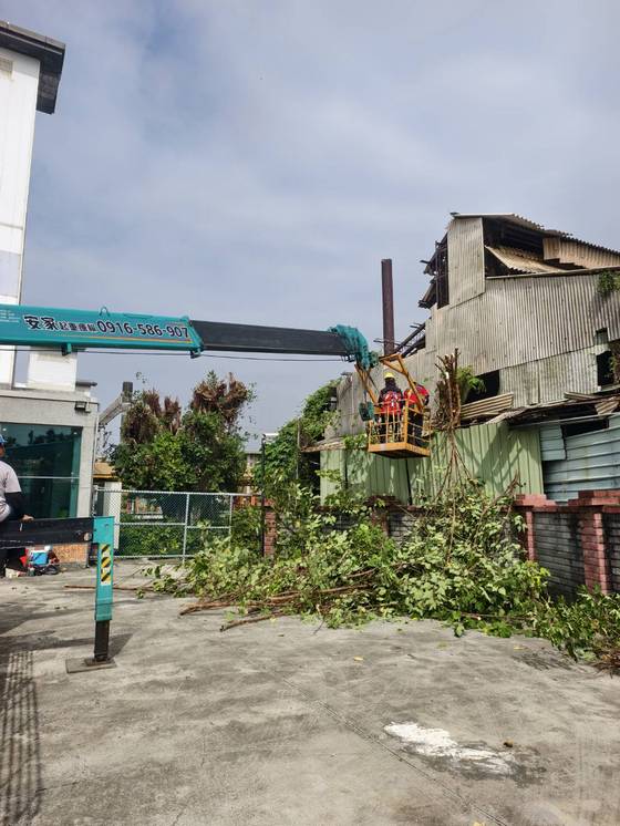 新營區 新營火車站樹木修剪工程