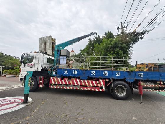 官田區 陽明工商學校樹木修剪