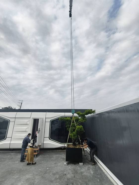 高雄市永安區移樹木