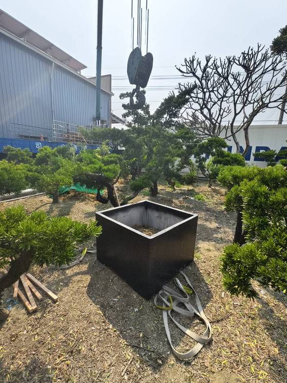 高雄市永安區移樹木