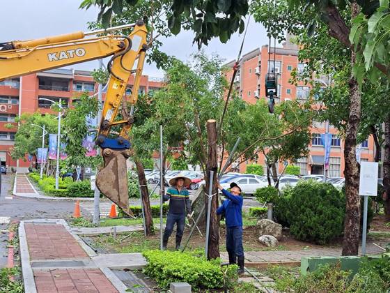永康區南台學校樹木整修