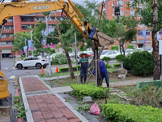 永康區南台學校樹木整修