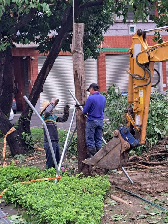 永康區南台學校樹木整修