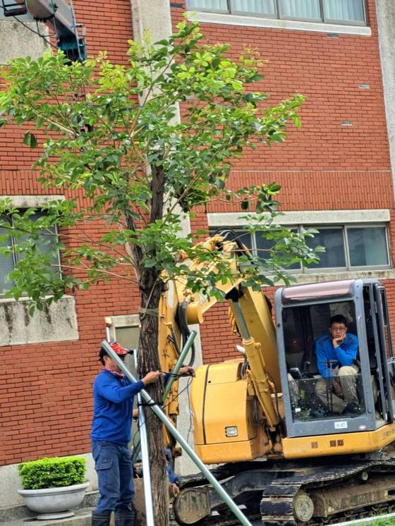 永康區南台學校樹木整修