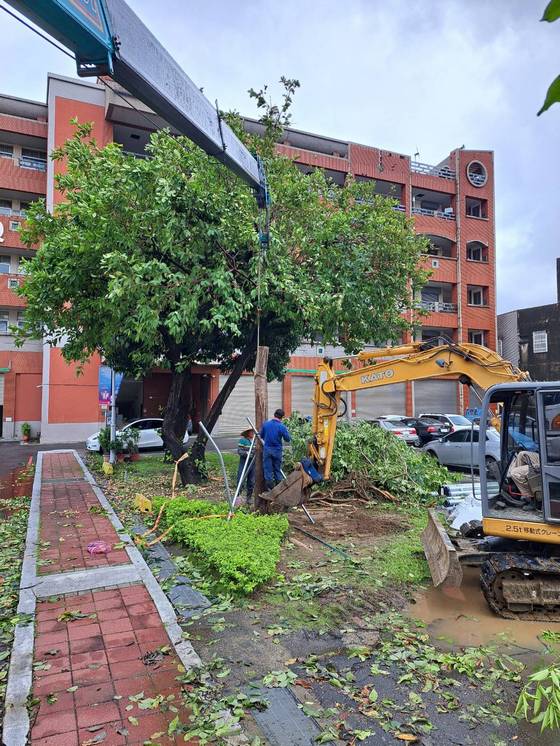 永康區南台學校樹木整修