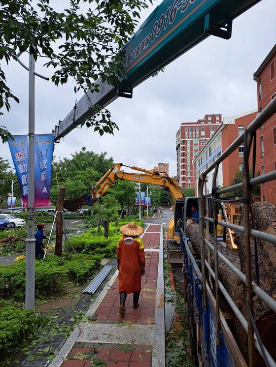 永康區南台學校樹木整修