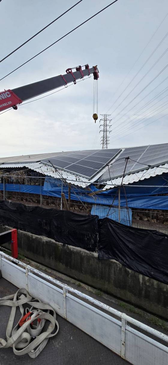 六甲區雞舍屋頂塌陷吊掛重新整修