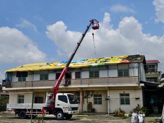 永康區南台學校樹木整修