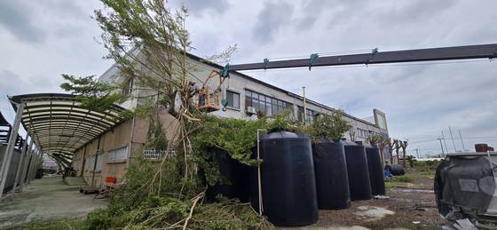 永康區南台學校樹木整修