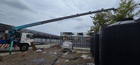 台南新營區修剪樹木全矮化工程