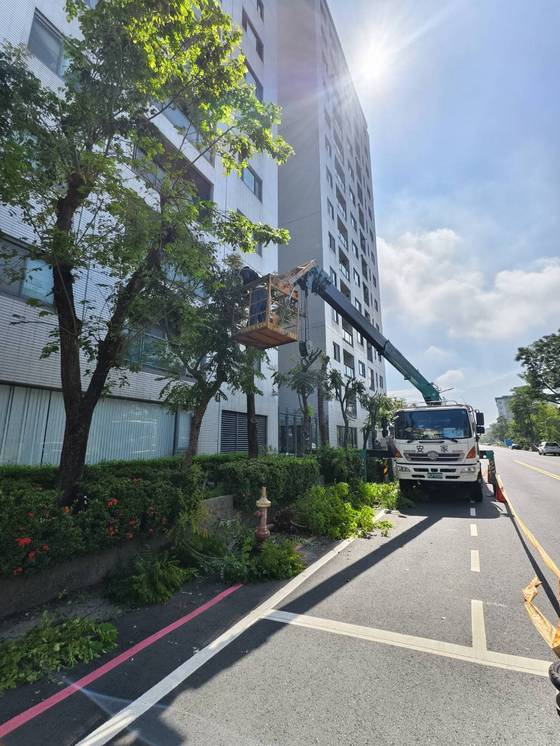 永康區南台學校樹木整修