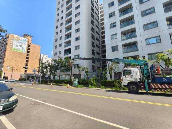 台南安平區 固定籠樹木修剪