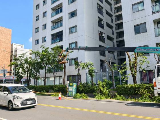 台南安平區 固定籠樹木修剪