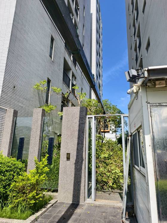 台南安平區 固定籠樹木修剪