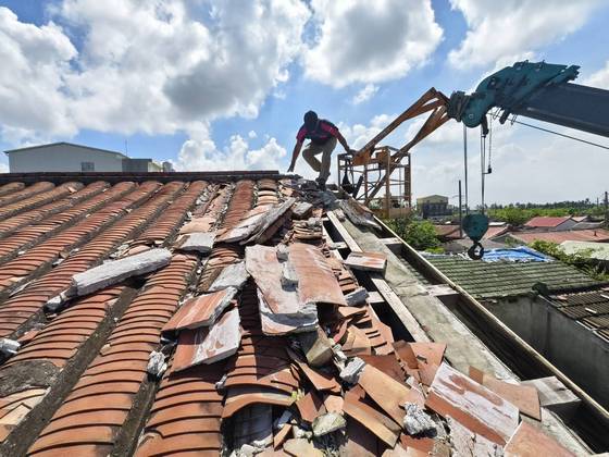 永康區南台學校樹木整修