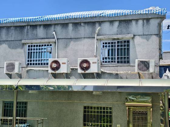 永康區南台學校樹木整修