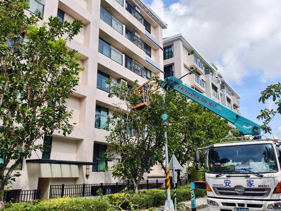 南區固定籠定期數木修剪