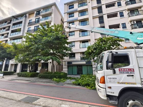 南區固定籠定期數木修剪