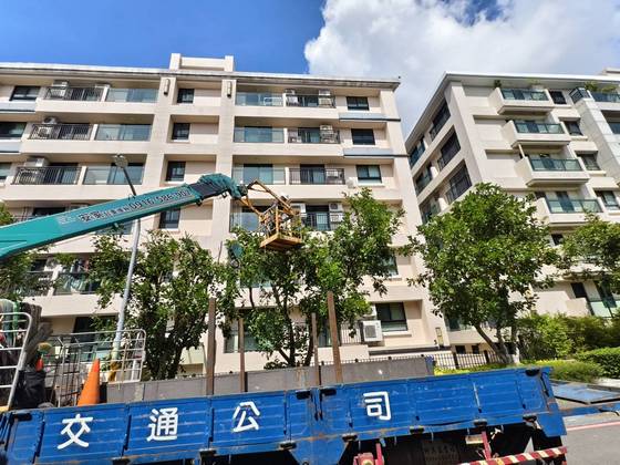 南區固定籠定期數木修剪