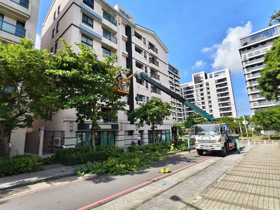 南區固定籠定期數木修剪