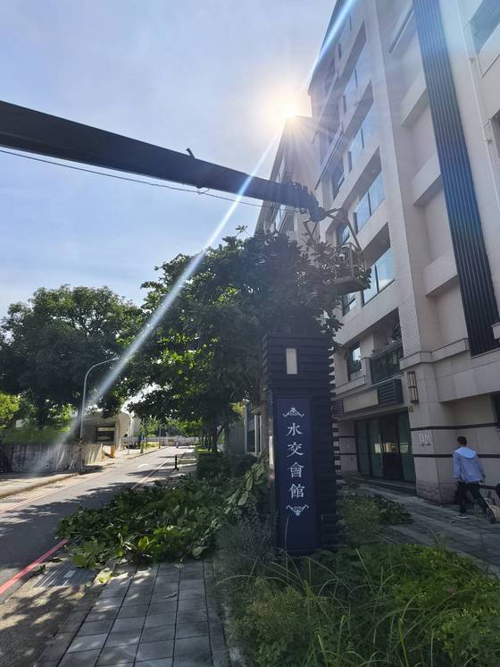 南區固定籠定期數木修剪